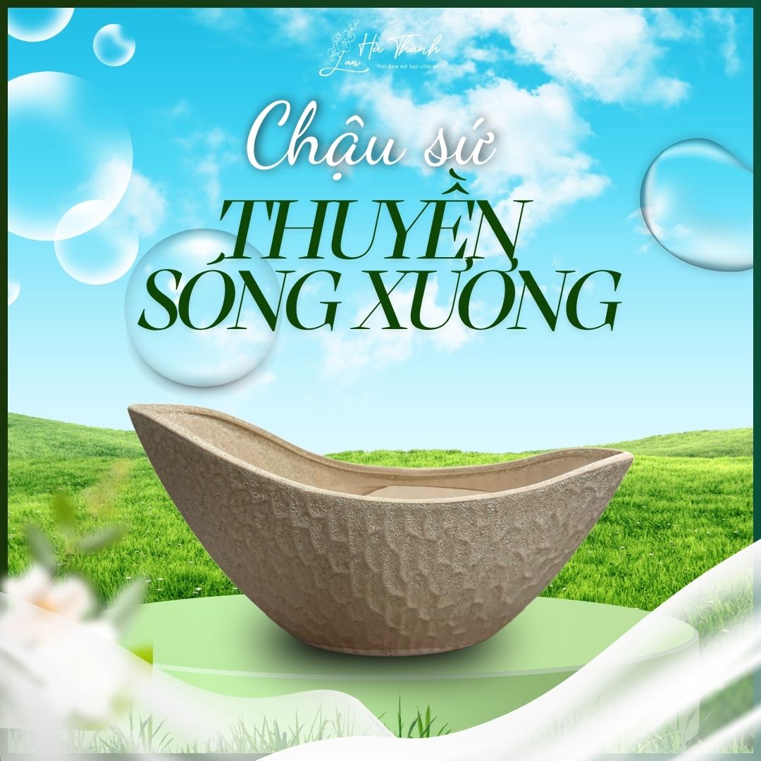 Chậu Sứ Thuyền Sóng Xương